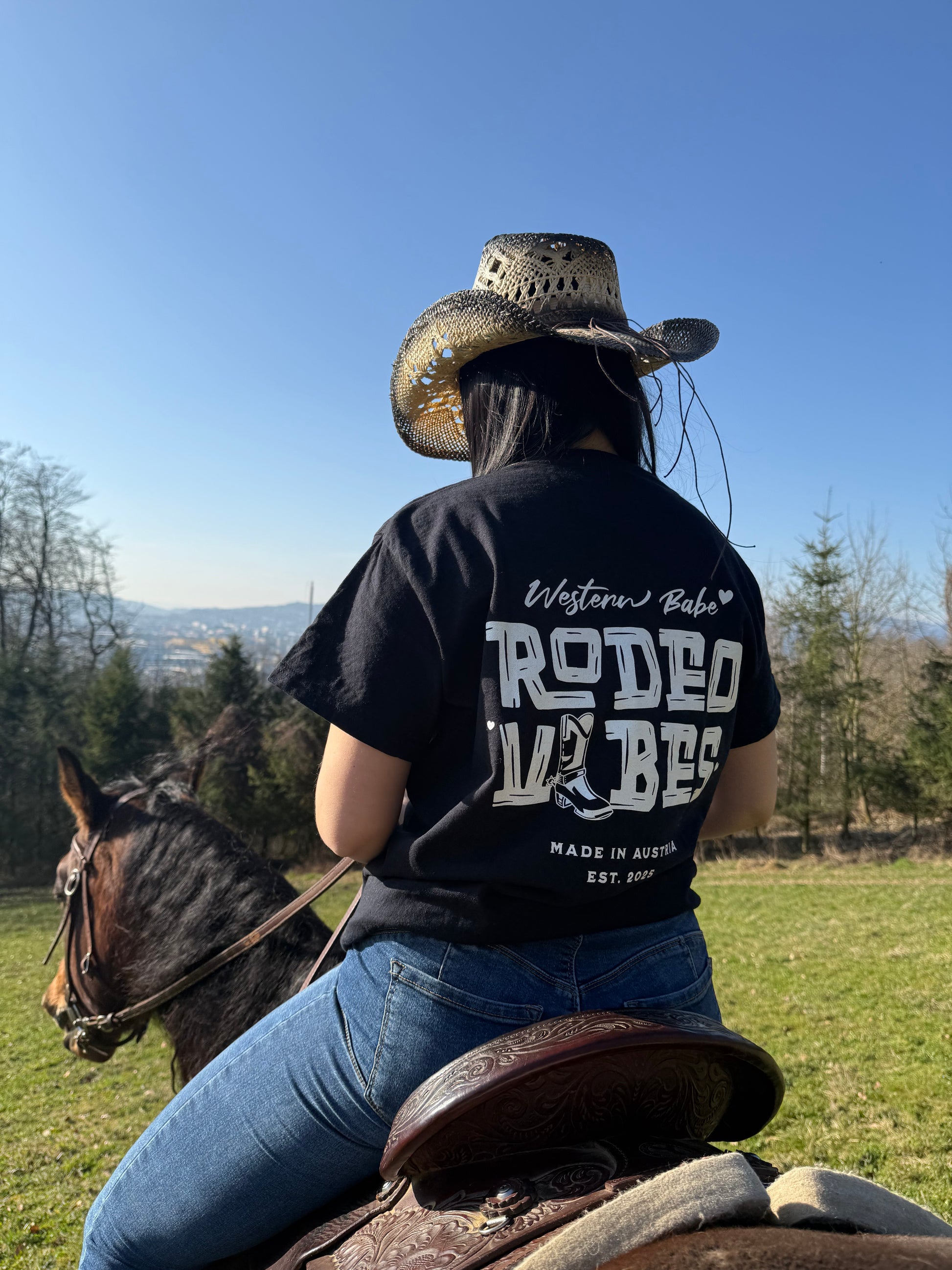 Rodeo Vibes Unisex Shirt